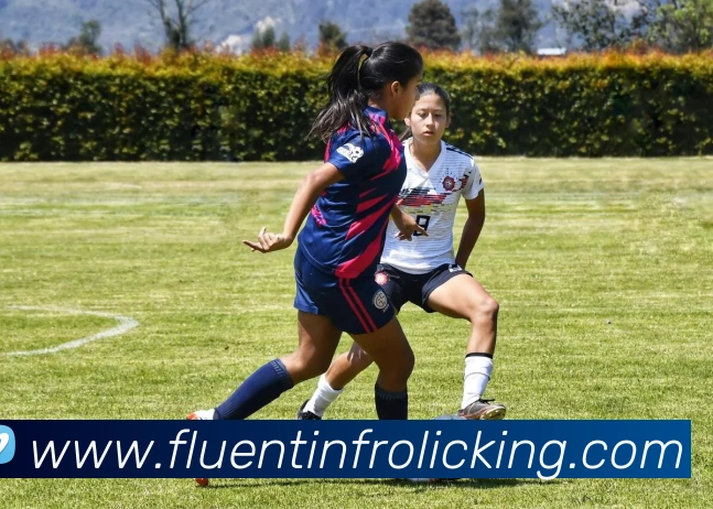 体育直播服务